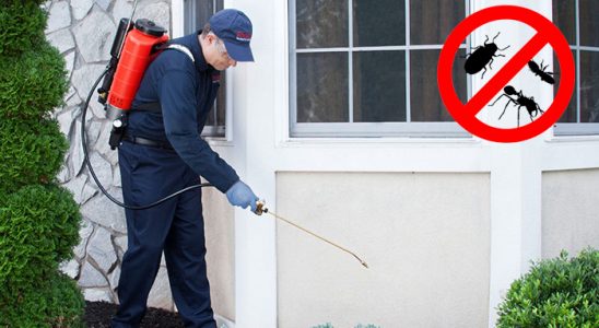 Gazipaşa Tahtakurusu İlaçlama böcek ilaçlama ve haşere kontrolü — ilaclama-tr.com